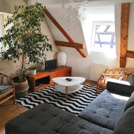 Au Grenier De La Grenouille Apartment Colmar Exterior photo