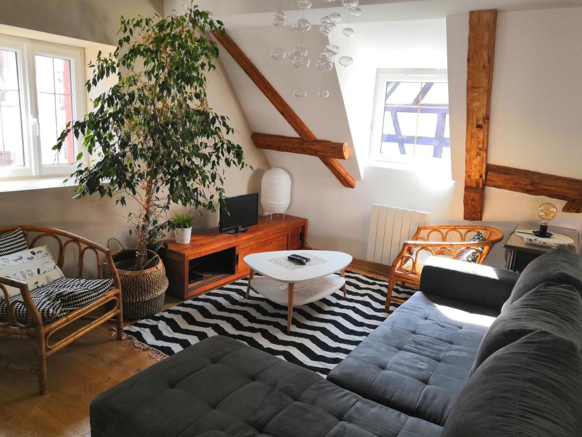 Apartment Au Grenier De La Grenouille Colmar