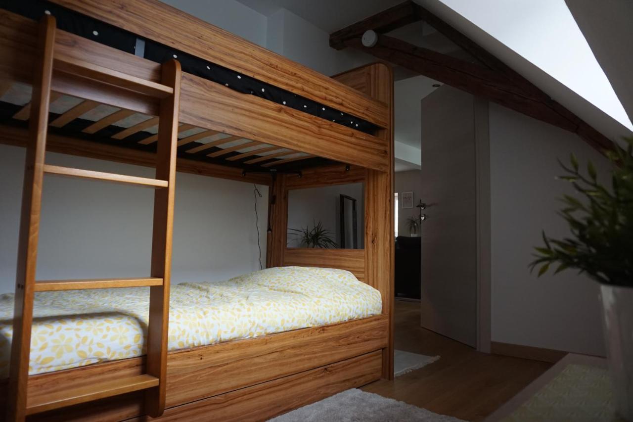 Apartment Au Grenier De La Grenouille Colmar