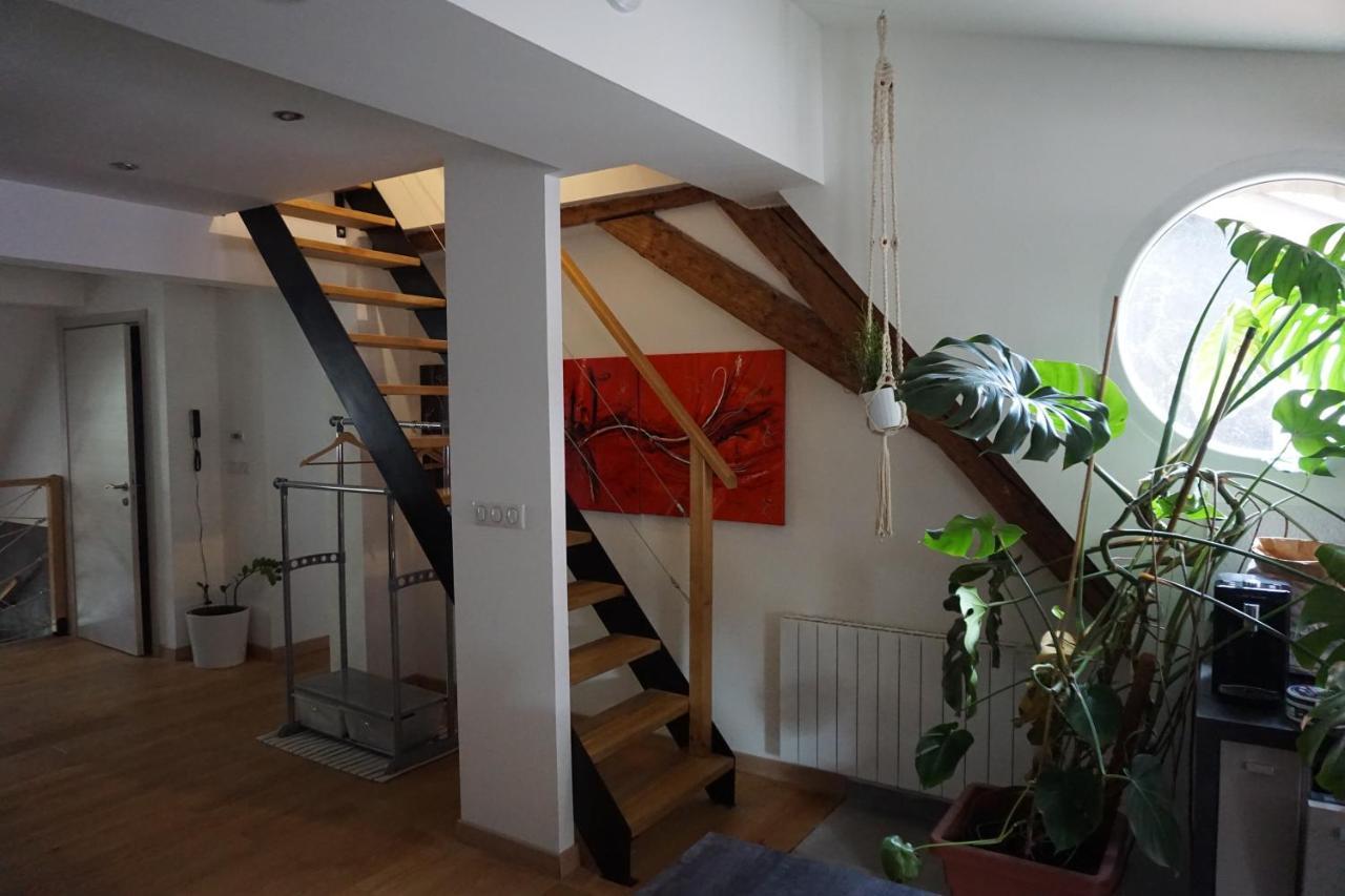Apartment Au Grenier De La Grenouille *